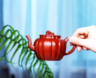 筋紋獅球 筋紋獅球